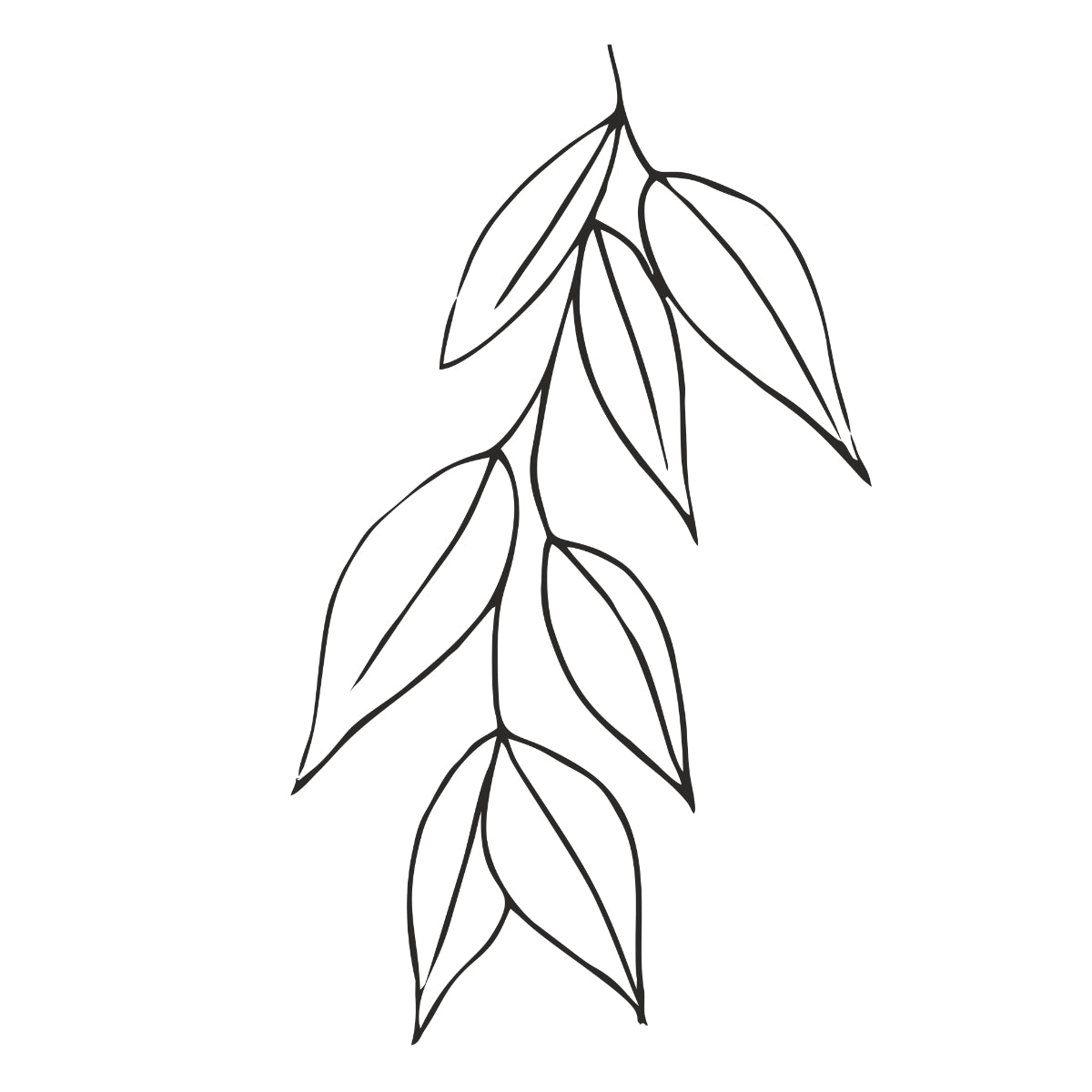 White T-shirt Leaves